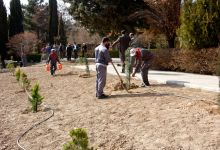 گزارش تصویری از آئیین درختکاری و تقدیر ازهمکاران فضای سبز دانشگاه